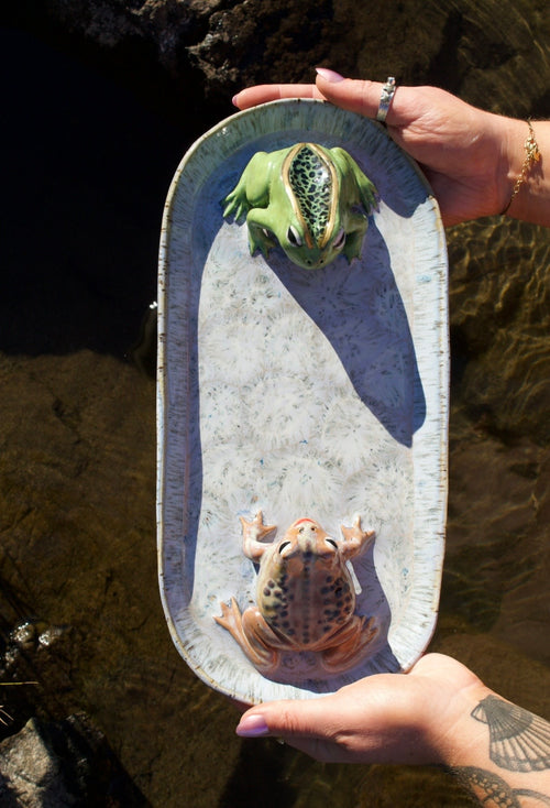 Frog + Toad Dish