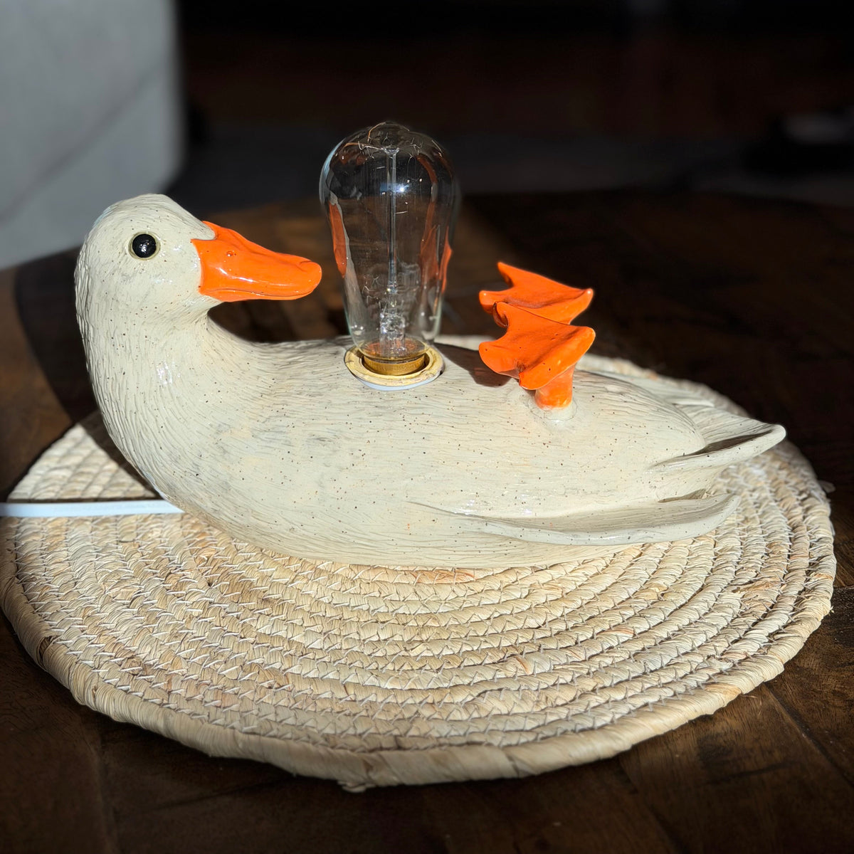 Duck Lamp