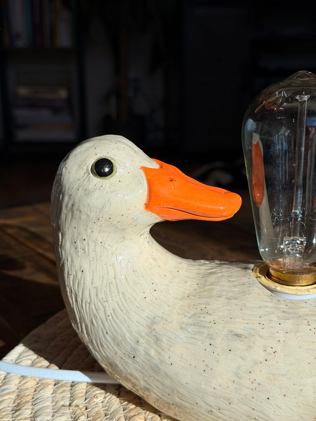 Duck Lamp