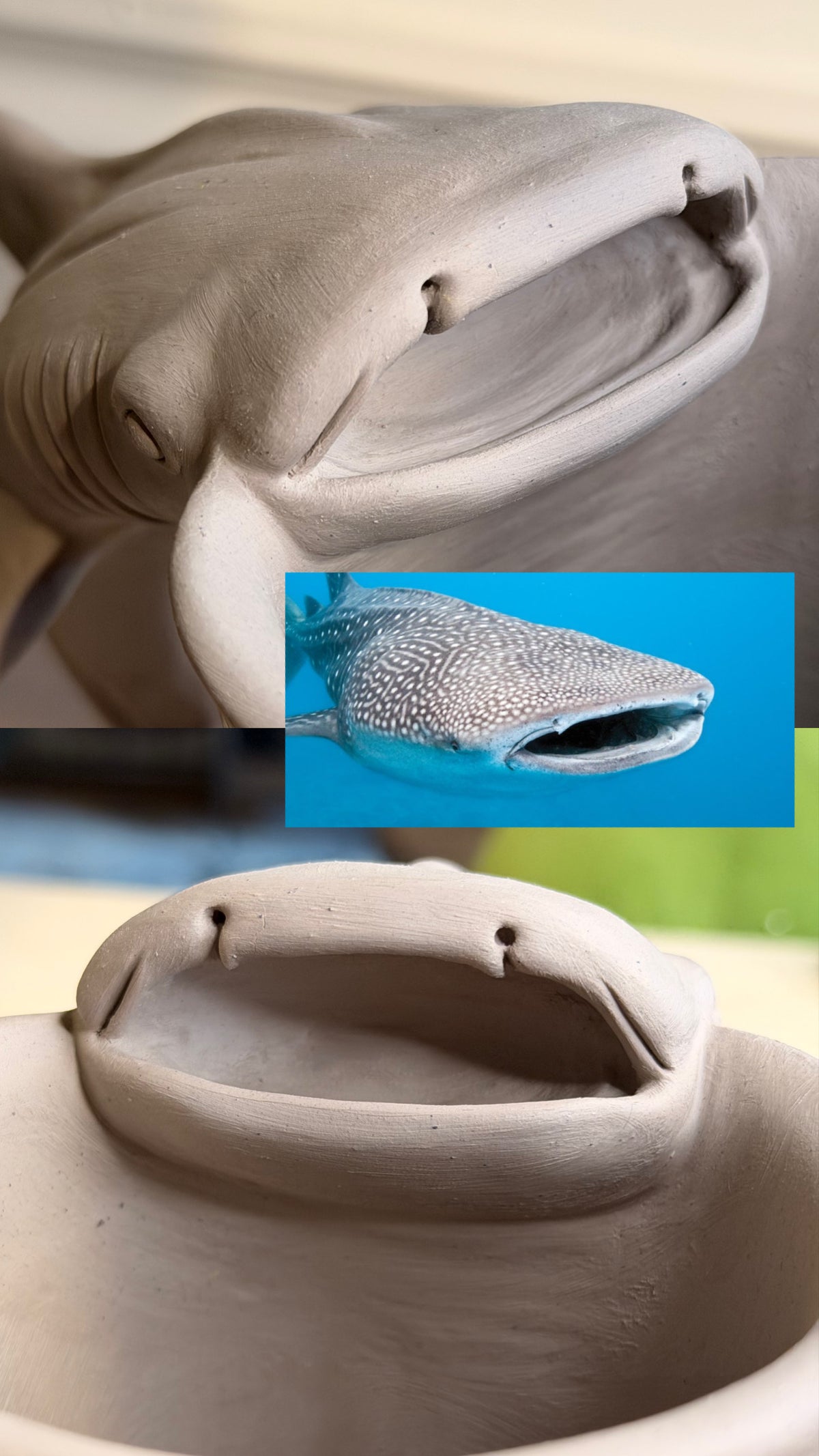Whale Shark Mug Made-To-Order