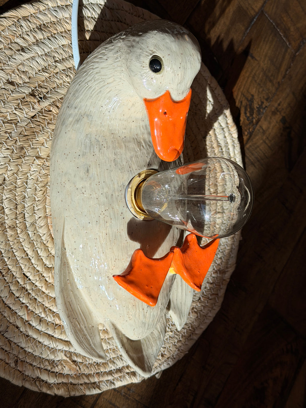 Duck Lamp