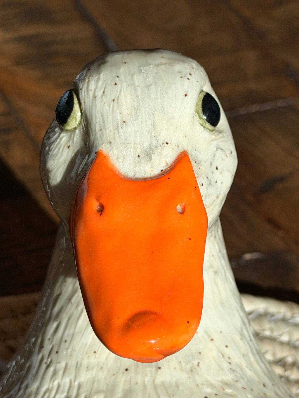 Duck Lamp